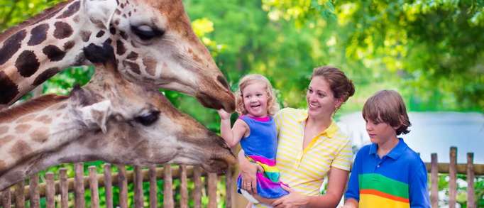 Best places to visit for babies and toddlers in Norfolk