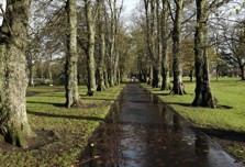 Kay Park and the Burns Monument
