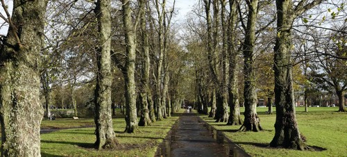 5. Kay Park and the Burns Monument