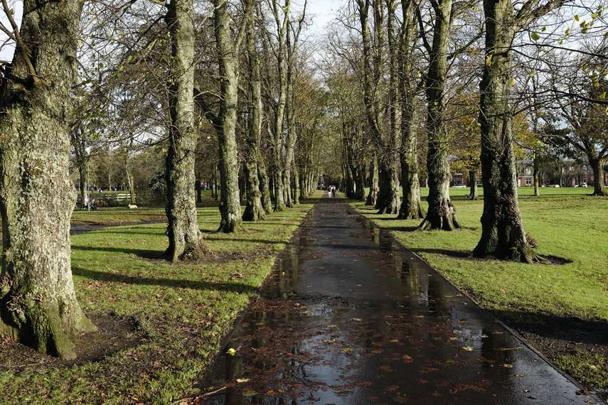 5. Kay Park and the Burns Monument