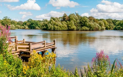 Things to do in Essex