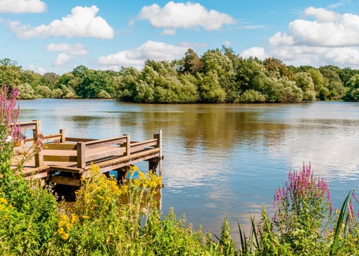 Our favourite things to do in Essex