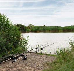 How does Haven's Essex holiday park offer value for money?