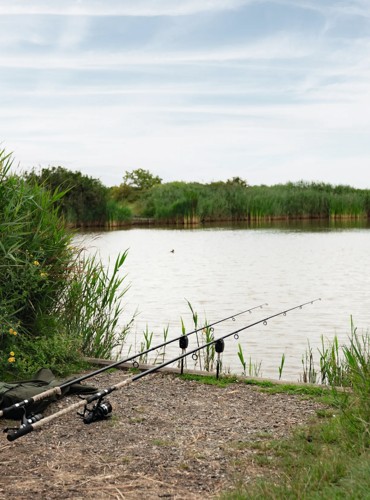 Specimen fishing at Orchards