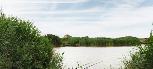 Orchards, Essex