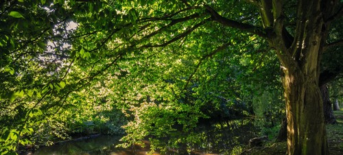 6. The Byes riverside park