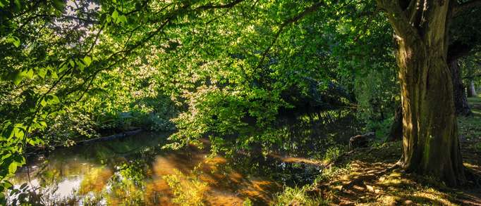 6. The Byes riverside park