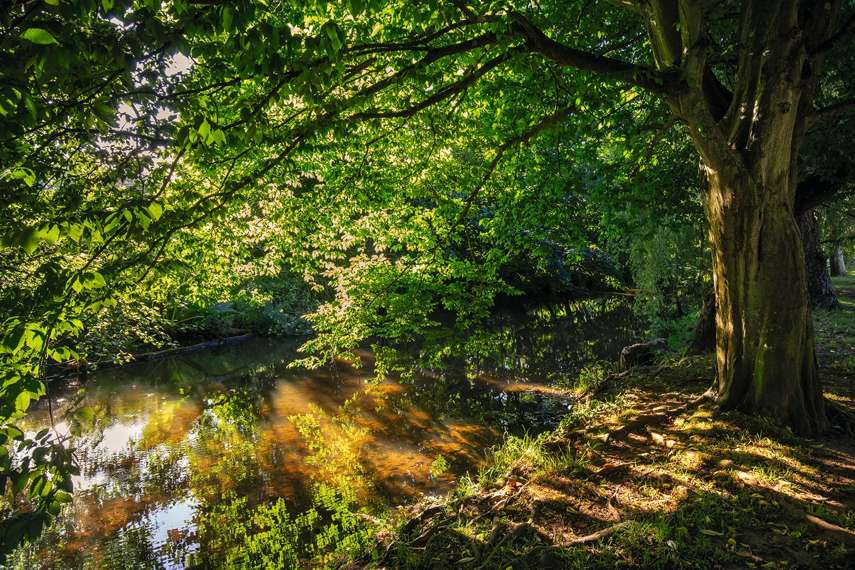 6. The Byes riverside park