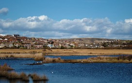 RSPB Lodmoor, Weymouth