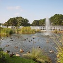 Spotting wildlife at Wild Duck