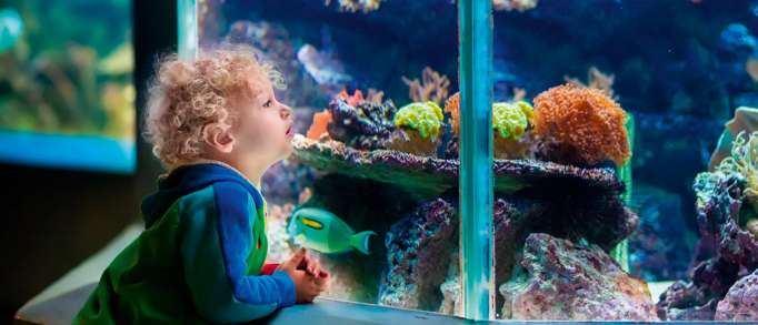 3. Blue Reef Aquarium 