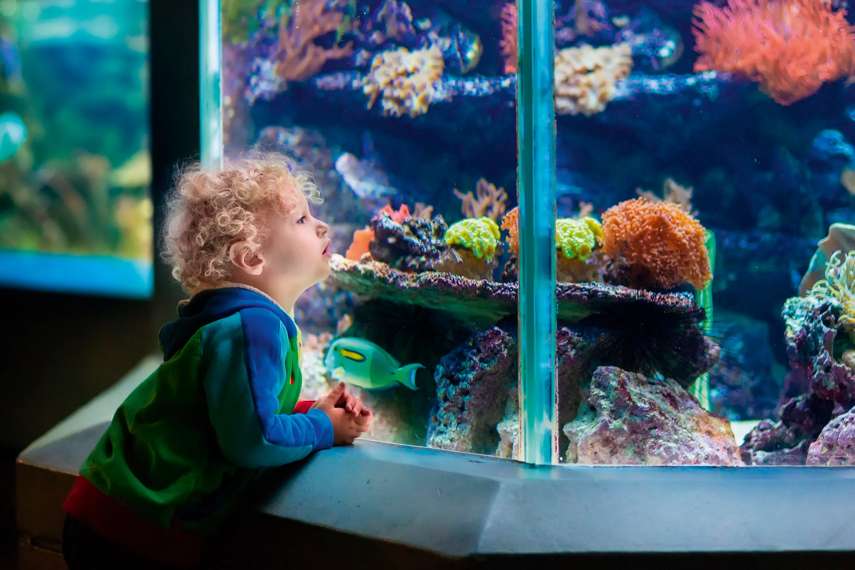 3. Blue Reef Aquarium 