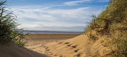 Play fetch on Brean Beach