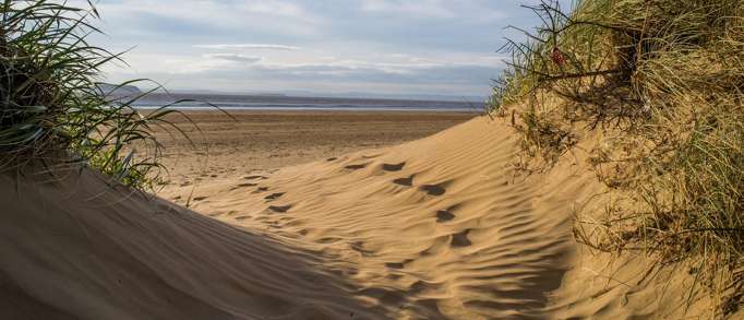 Play fetch on Brean Beach