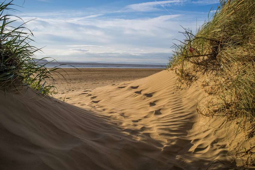 Play fetch on Brean Beach