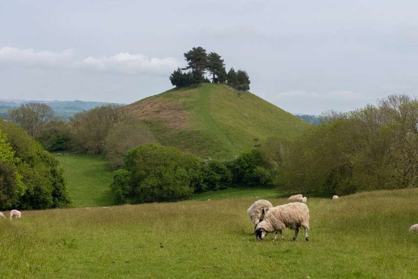 10. Symondsbury Estate, Bridport