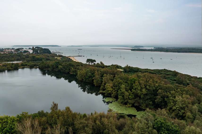 Other popular highlights