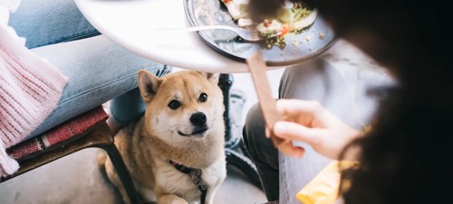 12. Grab a drink and a bite to eat