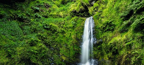 Pistyll Rhaeadr 