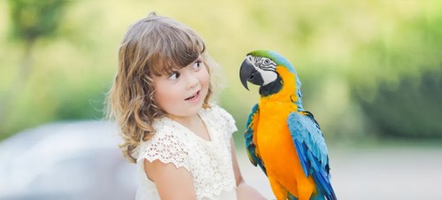 3 Best places to visit for babies and toddlers in Cornwall