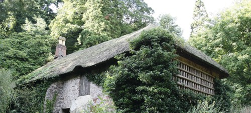 5. Cockington Country Park