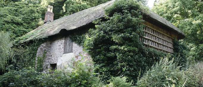 5. Cockington Country Park