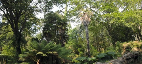 8. Abbotsbury Subtropical Gardens, Dorset