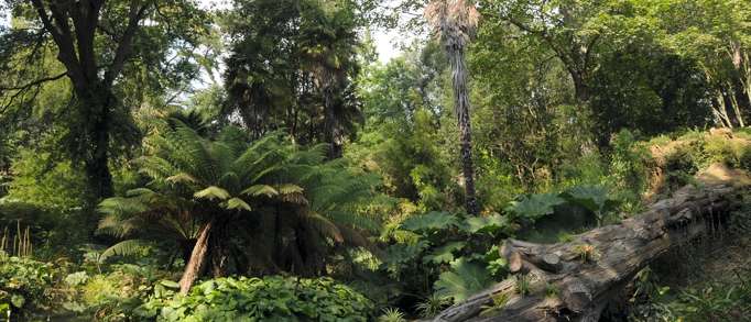 8. Abbotsbury Subtropical Gardens, Dorset