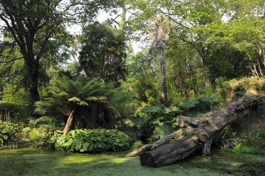 8. Abbotsbury Subtropical Gardens, Dorset