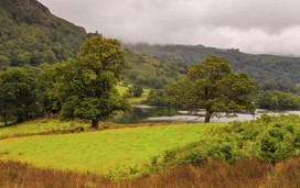 Rydal Water walk, Ambleside
