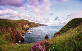 Views of St Abb's Head over Pettico Bay in Northumberland.