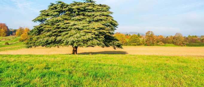 Lullingstone Country Park