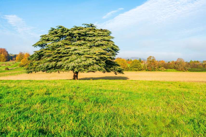 Lullingstone Country Park