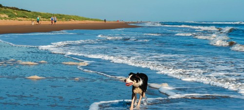 Mablethorpe beach, Lincolnshire