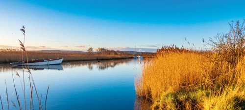 Take a Wareham River Cruise