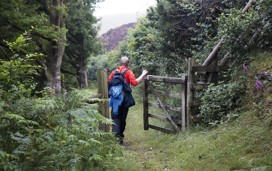 Horner Wood, Minehead