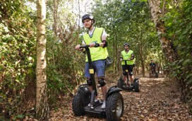 Our on-park Segways