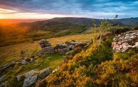 Dartmoor National Park