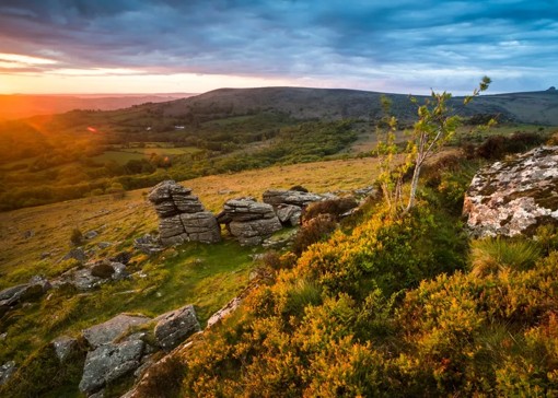 Things to do in Devon with kids