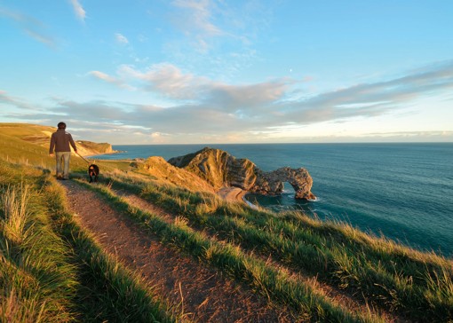 Dog-friendly beaches in Dorset