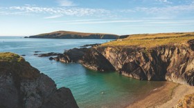 Cardigan Island Coastal Farm Park