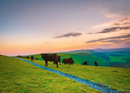 Best walks in Sussex