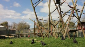 A beautiful day on Thrigby Hall Wildlife Gardens seeing the animals