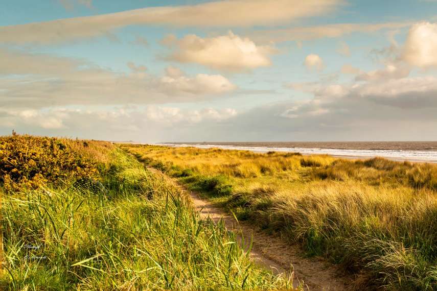 7. Moggs Eye Beach, Huttoft