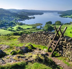 What's in the local area?