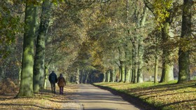 Felbrigg Walk