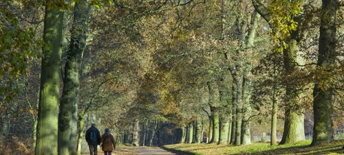 Felbrigg Walk