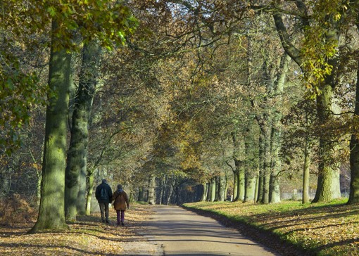 Best walks in Norwich