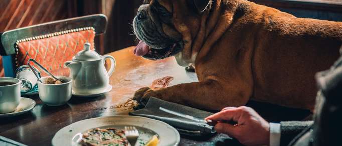 4. The Royal Oak Inn, Exmoor National Park