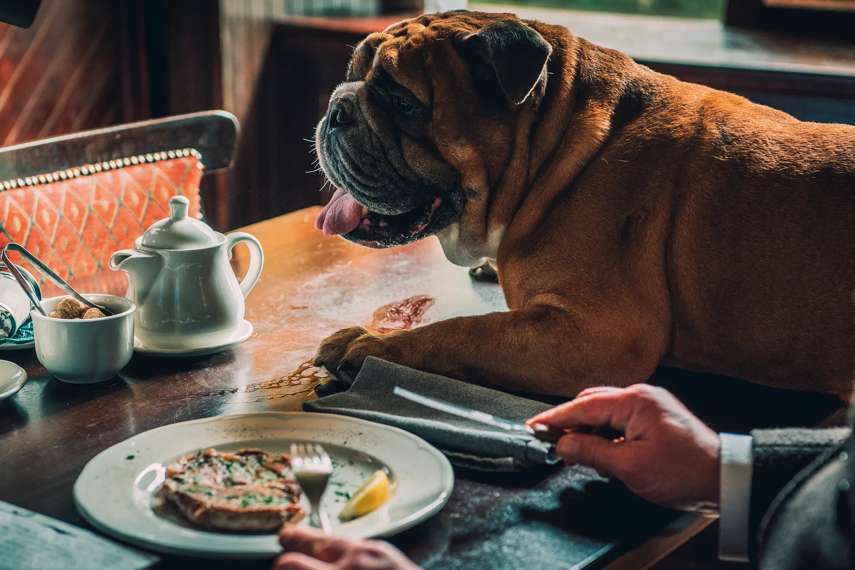 4. The Royal Oak Inn, Exmoor National Park
